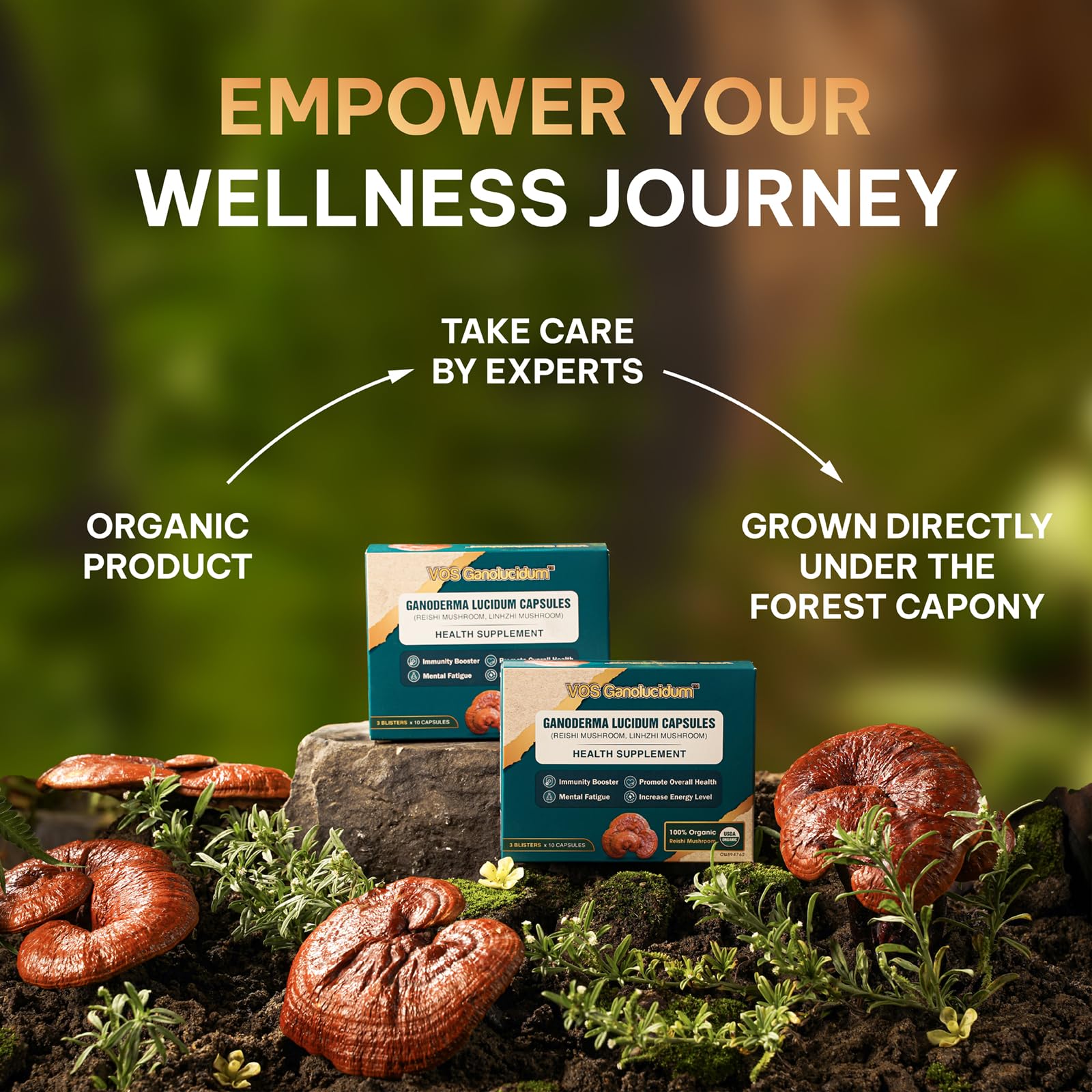 Vos Ganolucidum Red Reishi capsules on a clean surface for immune support