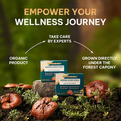 Vos Ganolucidum Red Reishi capsules on a clean surface for immune support