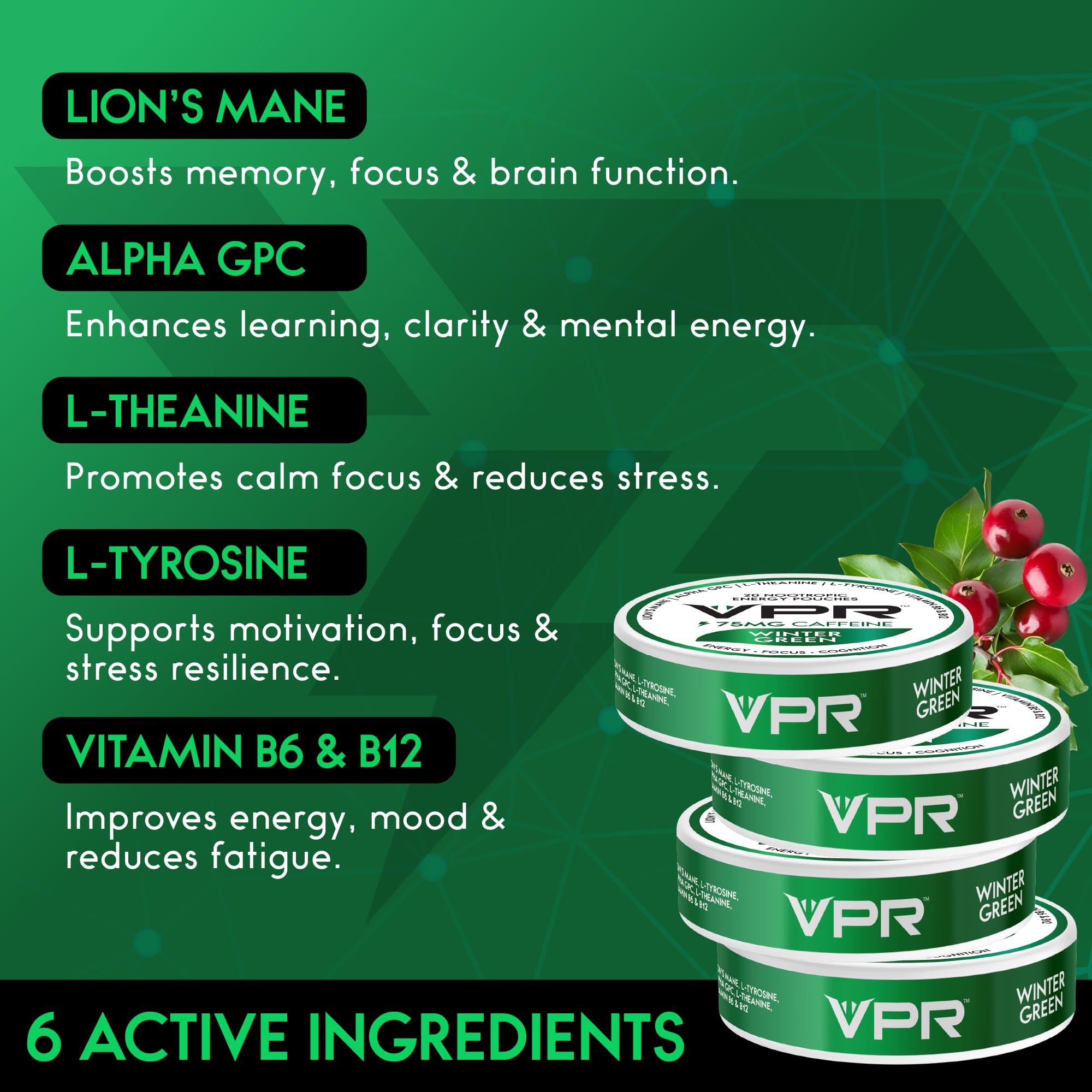 VPR Energy Lion’s Mane panel highlights brain support on the label