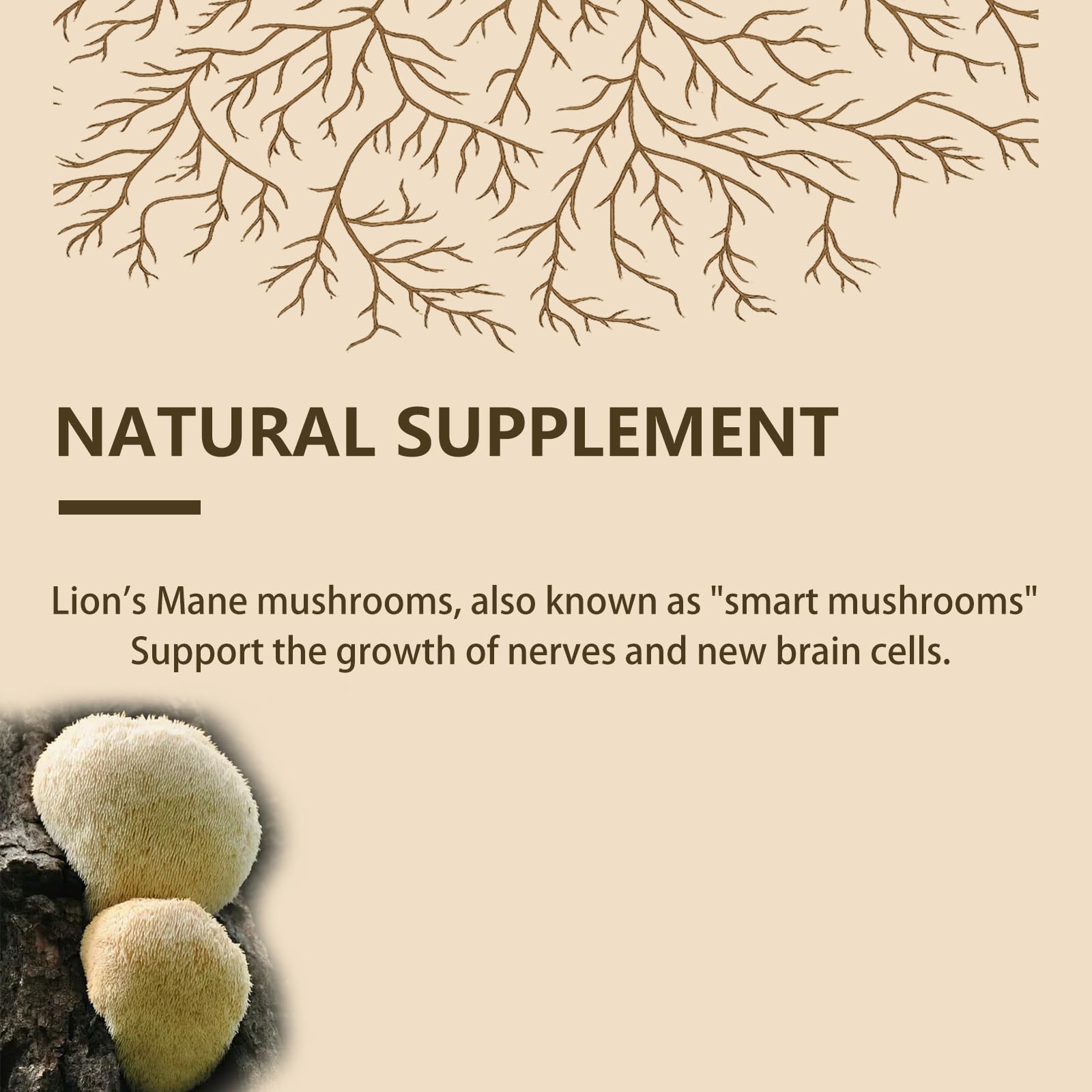 Vrixlanua Lions Mane powder in coffee cup, convenient upgrade for study sessions and creative work