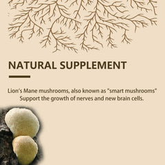 Vrixlanua Lions Mane powder in coffee cup, convenient upgrade for study sessions and creative work