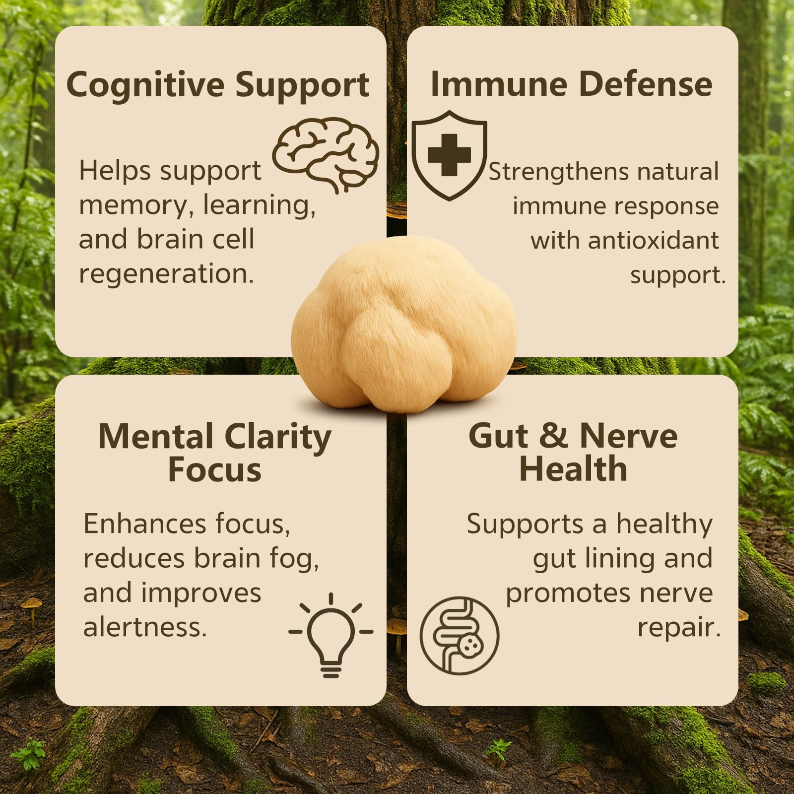 Vrixlanua Lions Mane powder label closeup, signaling pure ingredients and premium processing