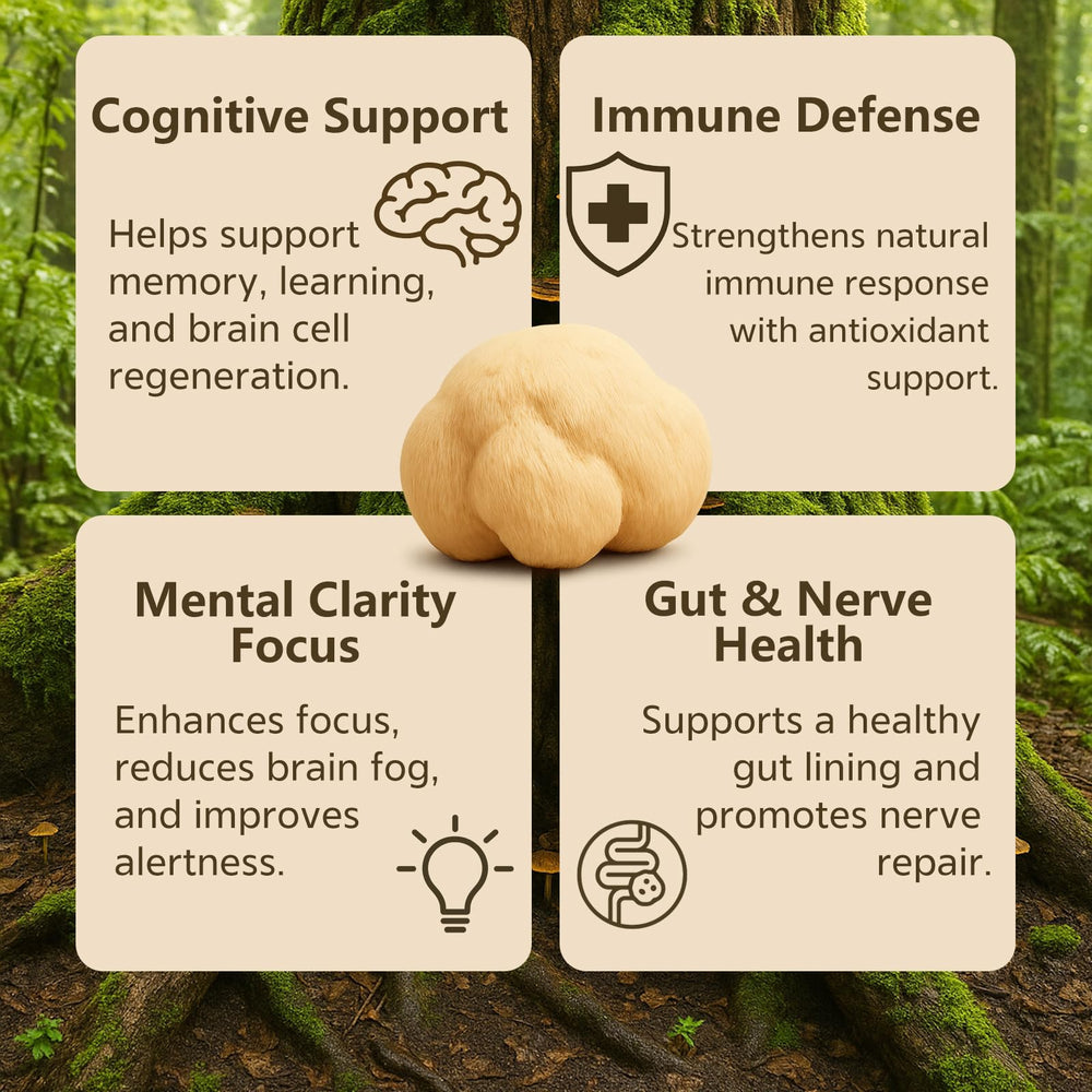 Vrixlanua Lions Mane powder label closeup, signaling pure ingredients and premium processing