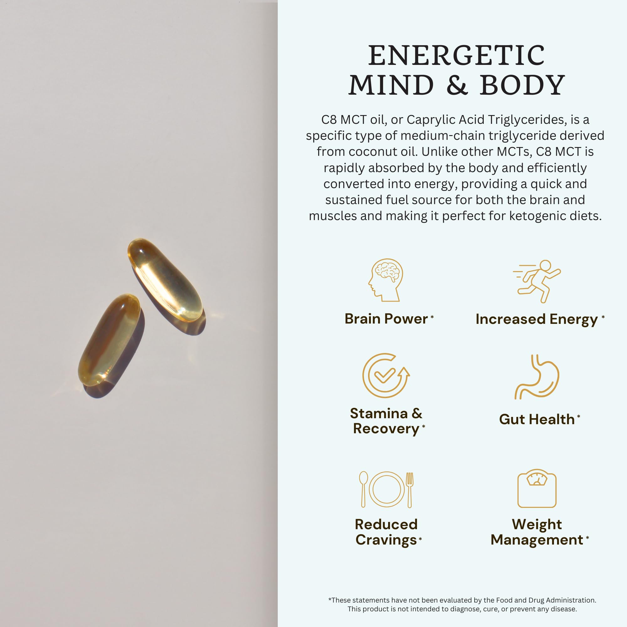 VTC gut health illustration suggesting digestion support from MCT capsules