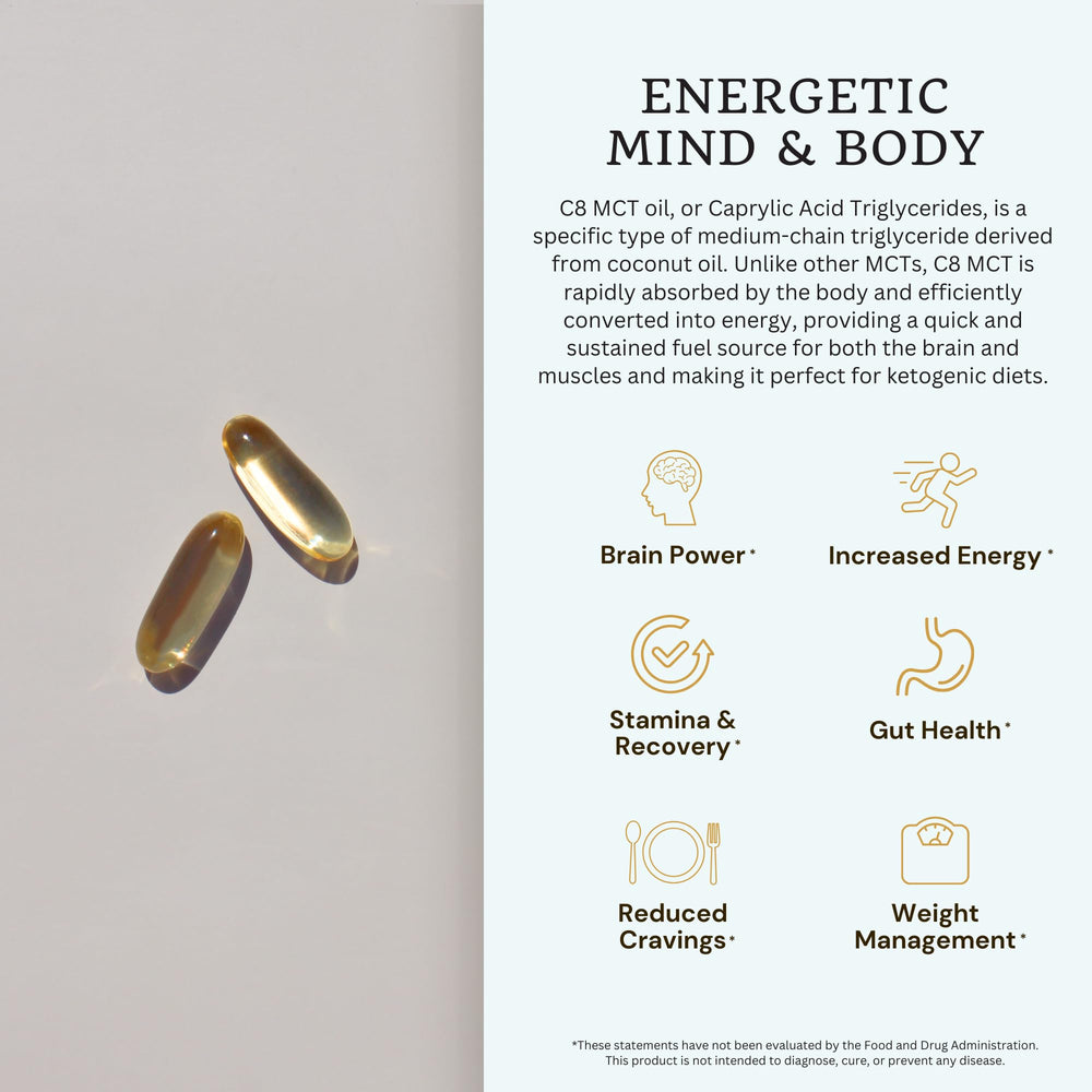 VTC gut health illustration suggesting digestion support from MCT capsules