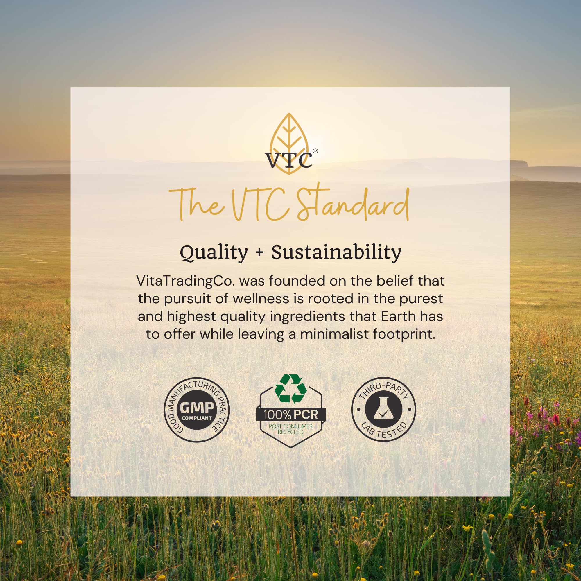 VTC sustainable packaging emphasizing eco-friendly materials