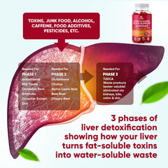 VV Naturals label closeup highlights sugar-free formula and liver support ingredients.