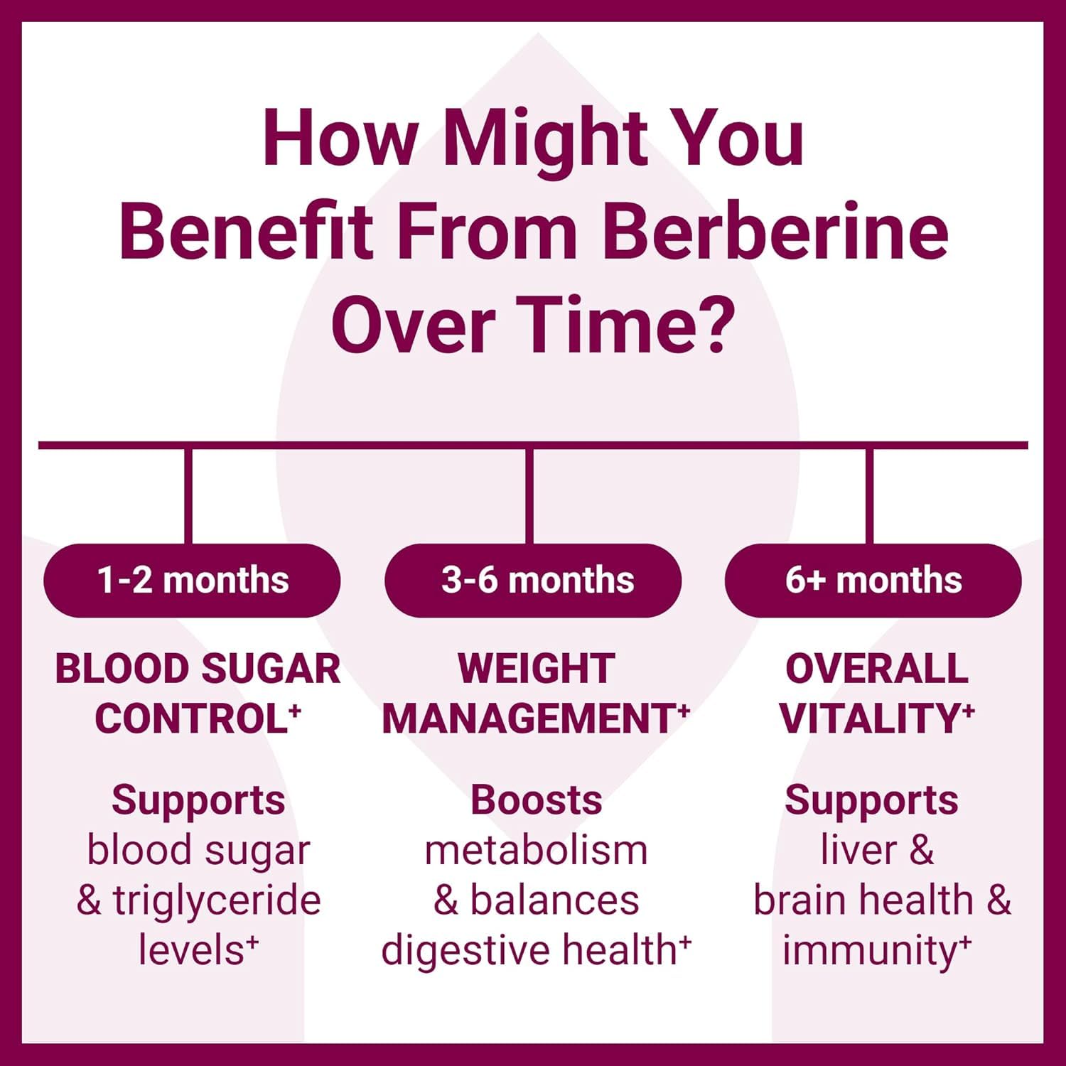 VXICDE Berberine HCl non-GMO and gluten-free formulation supports dietary preferences