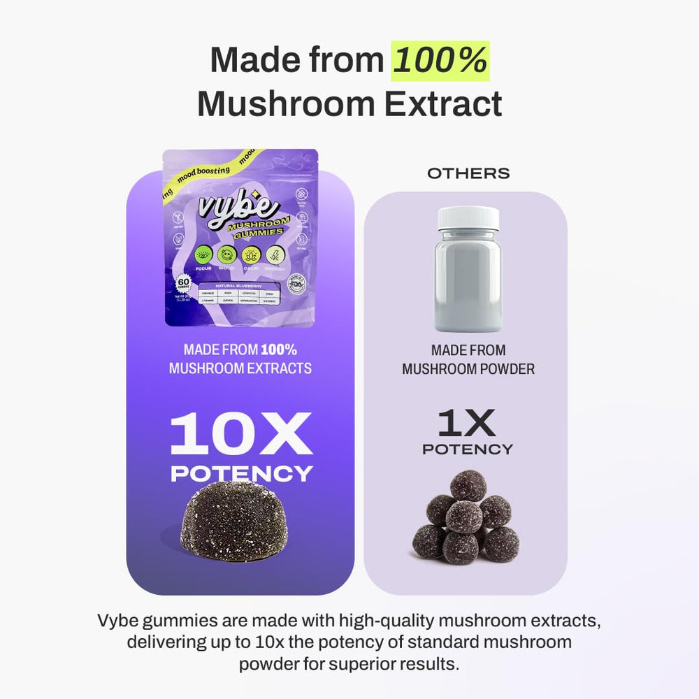 Vybe Daily Nootropic Gummies blueberries closeup highlighting tasty, plant-based energy.