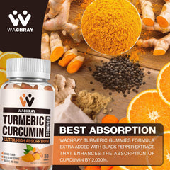 WACHRAY gummies with ginger highlight flavor and antioxidant potential.