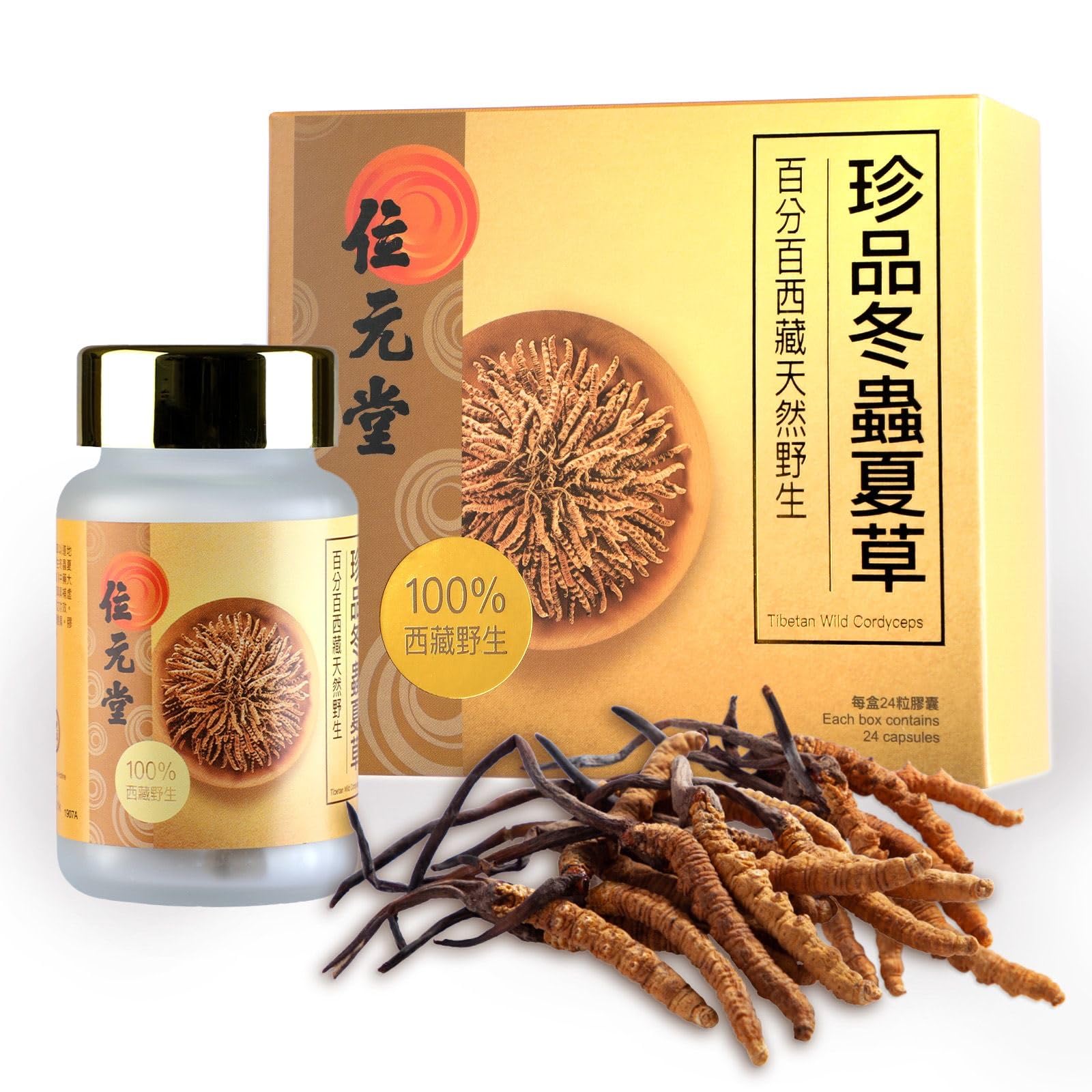 Wai Yuen Tong cordyceps ground capsules natural energy support from wild Tibetan fungi