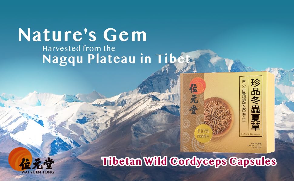 Wai Yuen Tong heritage 125 years of traditional herbal knowledge