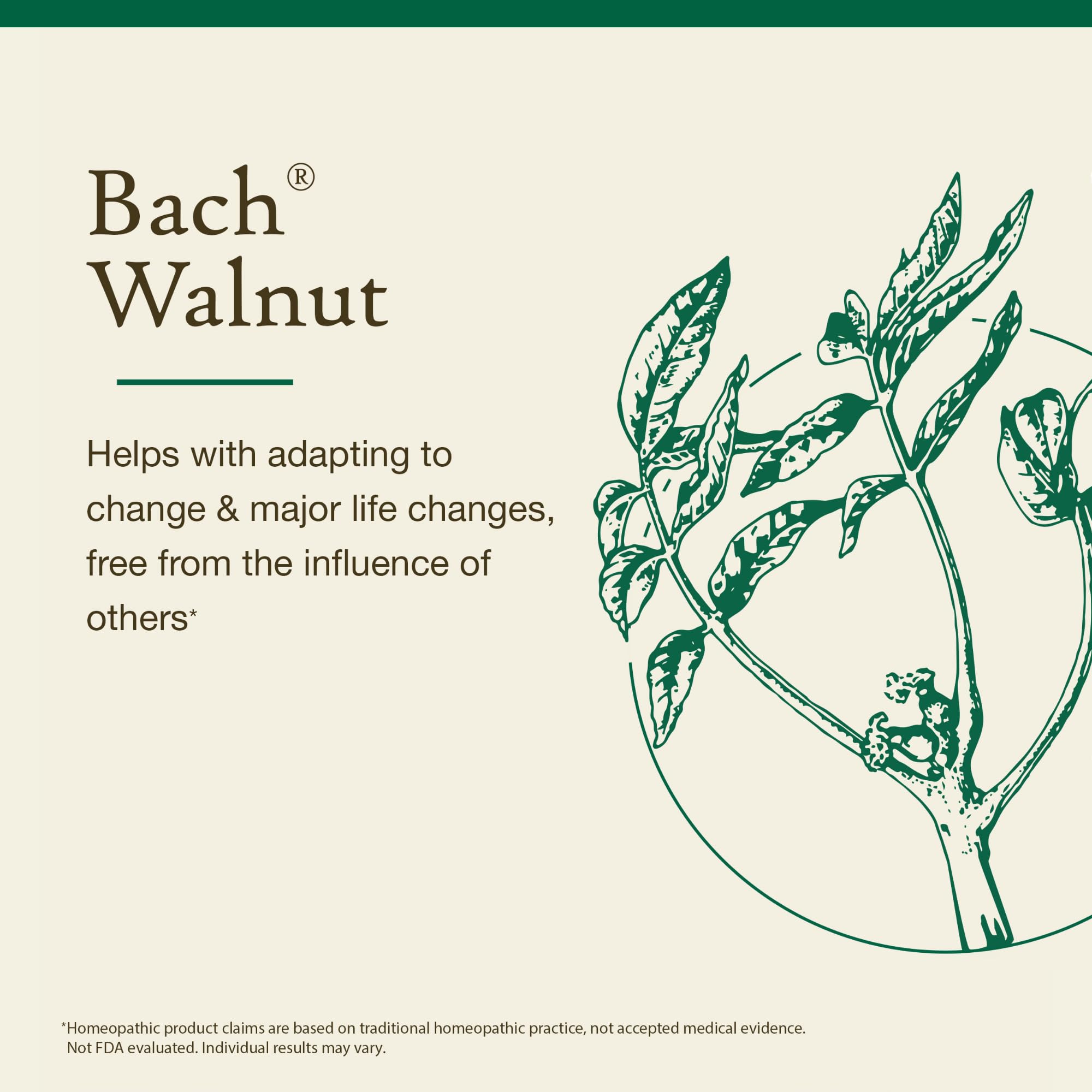 Walnut flower remedy label showing natural essence.