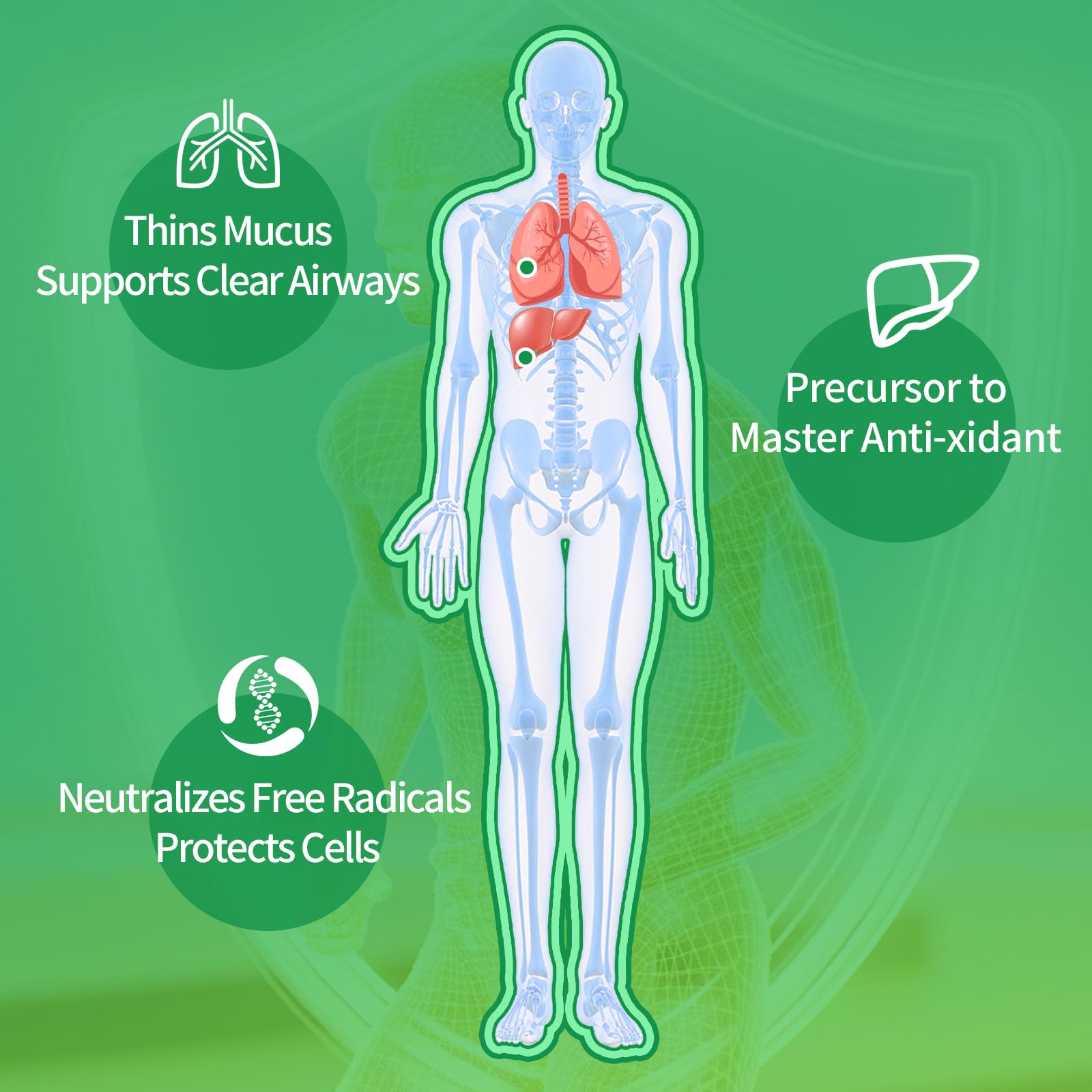 Warmbioder NAC Gummies green apple flavor delivers a crisp, tasty wellness moment.