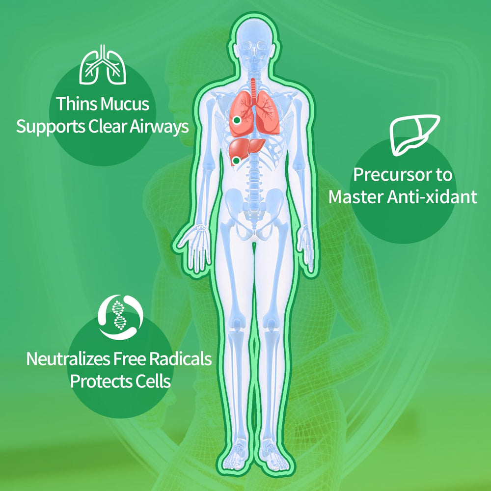 Warmbioder NAC Gummies green apple flavor delivers a crisp, tasty wellness moment.