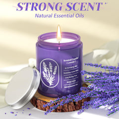 WarmEmbrace lavender candle glow creates ambient mood in any room.