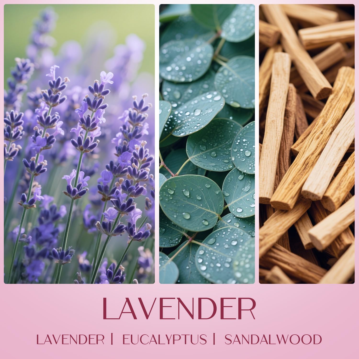 Waxcanpy aromatherapy candle enhances meals, baths, and reading with gentle fragrance.