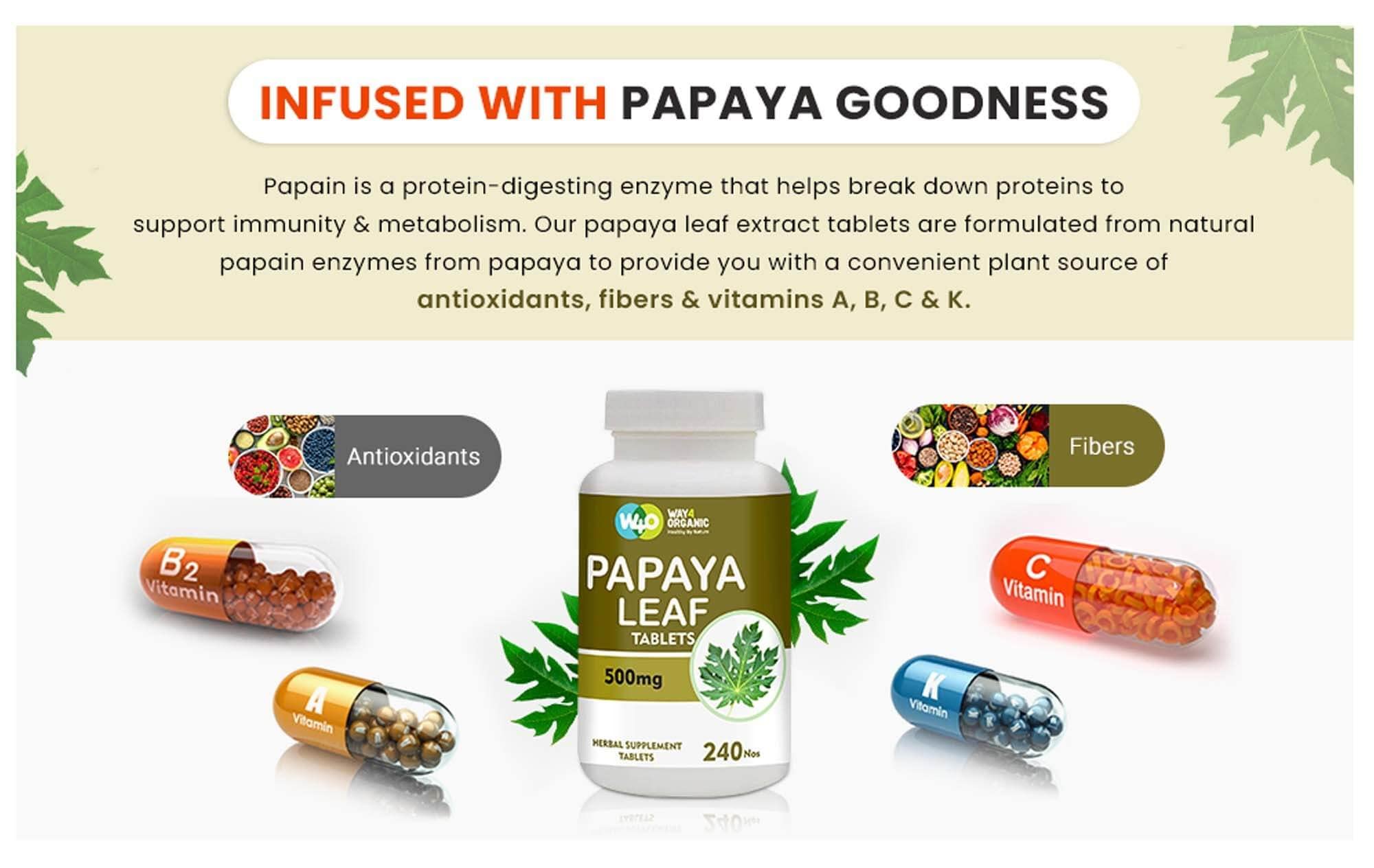WAY 4 ORGANIC W4O bottle and label closeup highlights long-lasting 240-pill supply.