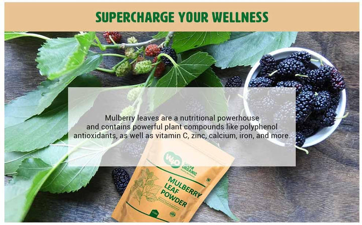 Way4Organic Mulberry Leaf Powder smoothie-ready blend in glass.