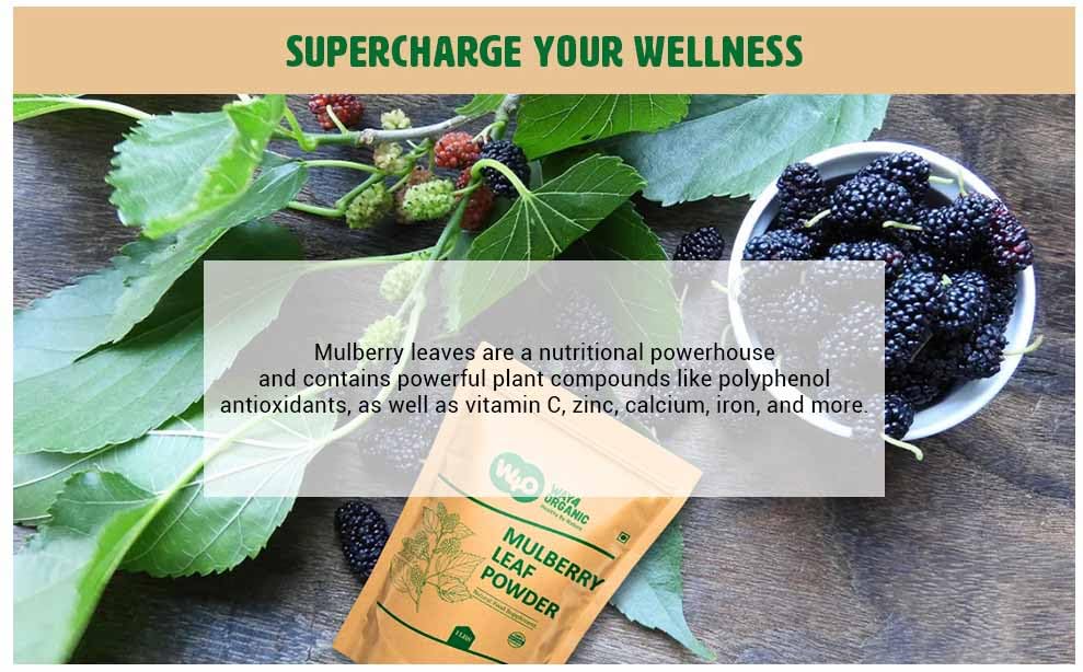 Way4Organic Mulberry Leaf Powder smoothie-ready blend in glass.