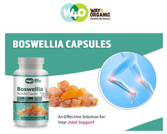 Two capsules daily serving shown for simple, consistent dosing.