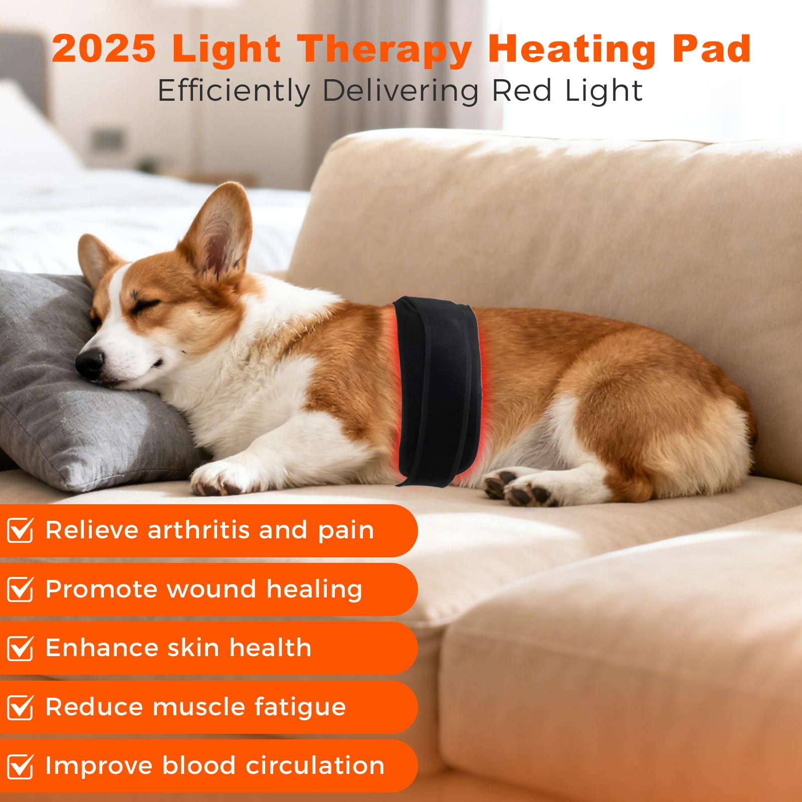 WDIBUN red light therapy belt worn on dog offering gentle, non-invasive relief during activity