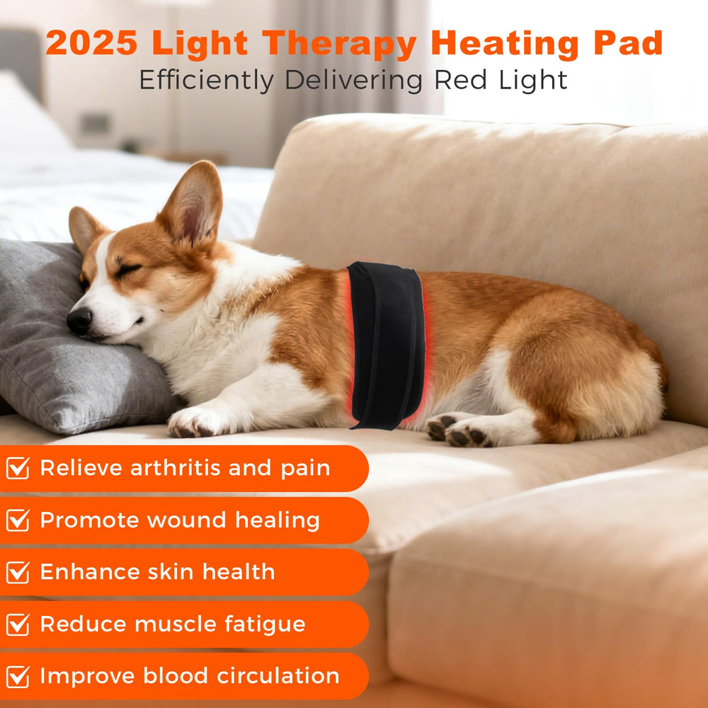 WDIBUN red light therapy belt worn on dog offering gentle, non-invasive relief during activity