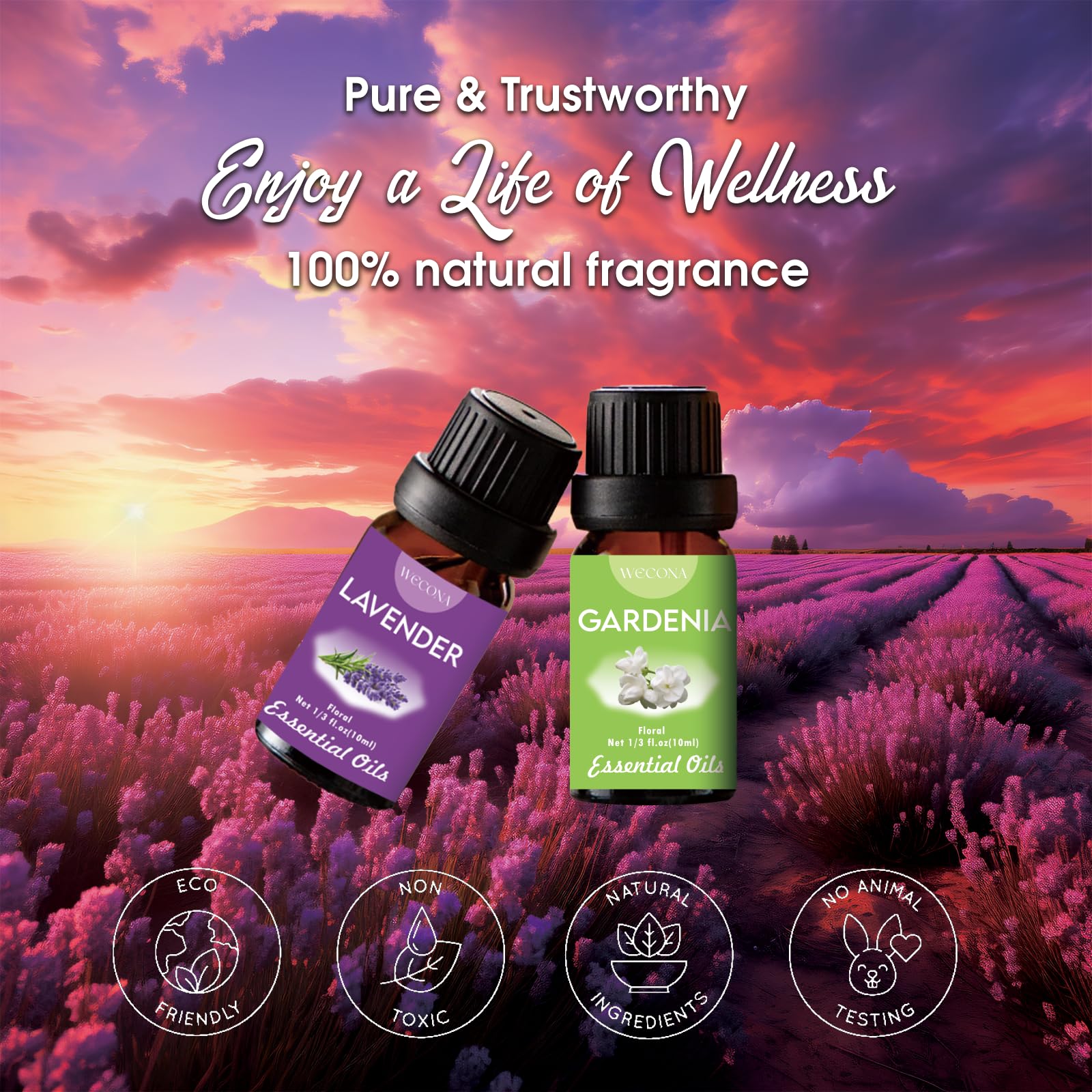 Wecona jasmine oil bottle 10ml for uplifting diffusers and candles.