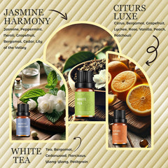 Wecona six premium oils White Tea set for hotel-like scent