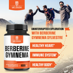 WELBUDA Berberine-Gymnema label displaying clear ingredient details.