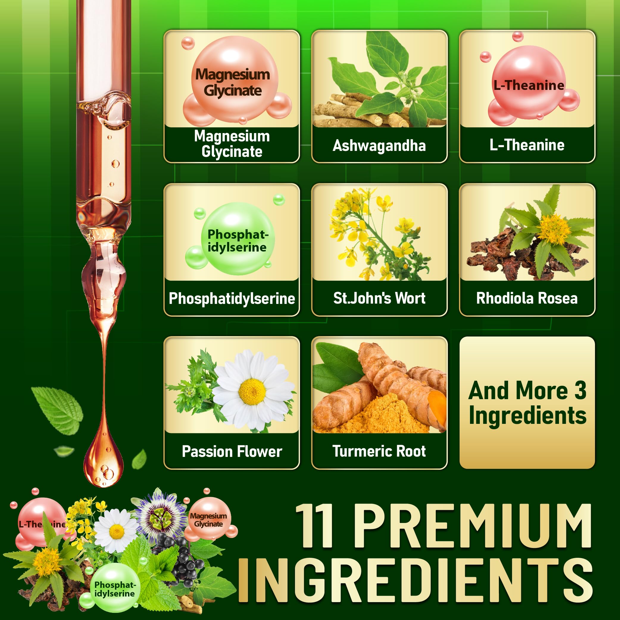 Welbuda St. John’s Wort herbal drops for gentle daily wellness.