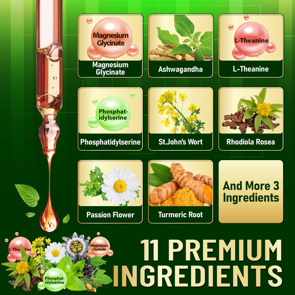 Welbuda St. John’s Wort herbal drops for gentle daily wellness.