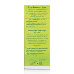 Weleda Citrus Deodorant litsea cubeba note close-up with fresh fragrance