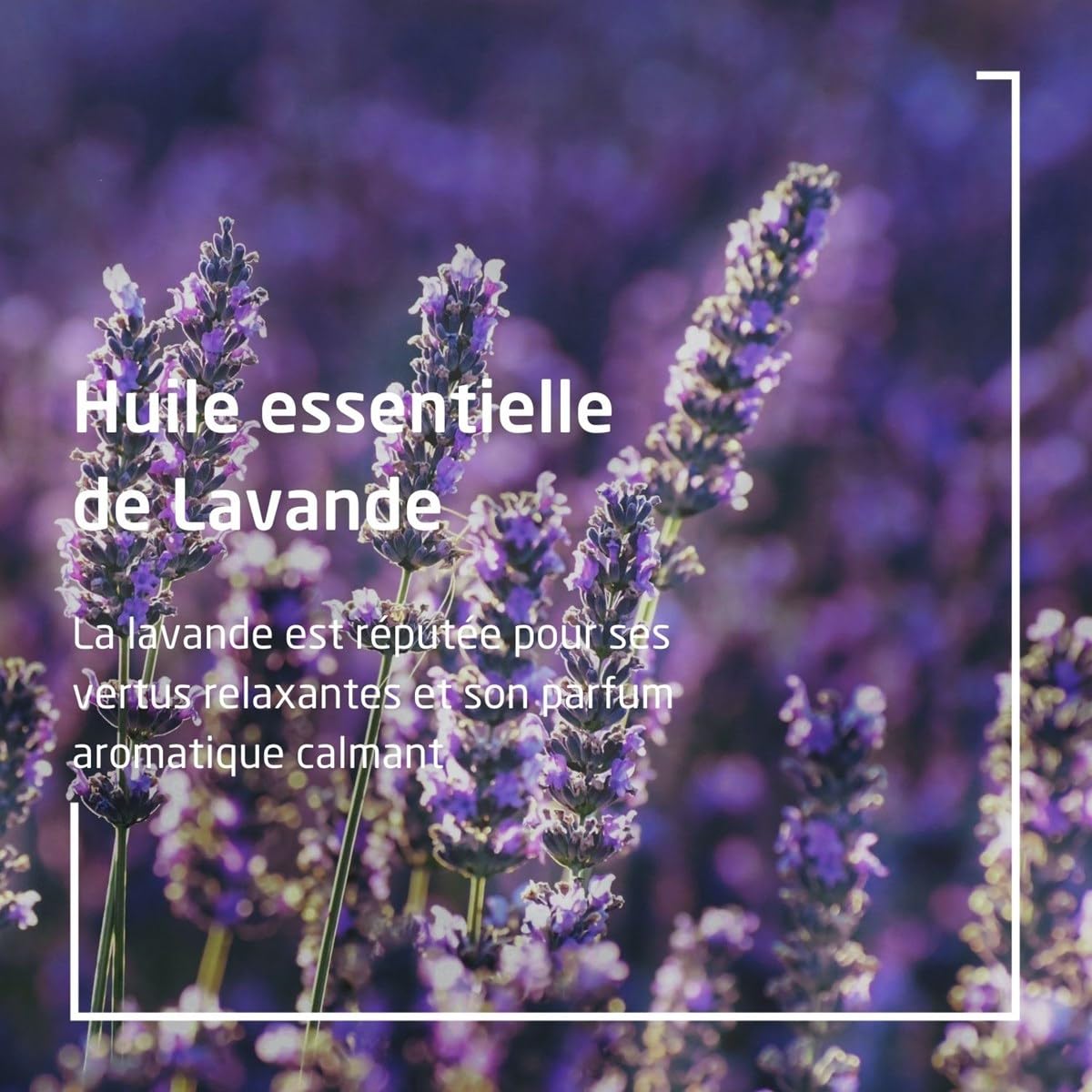 Weleda Relaxing Lavender Body Oil ingredients highlight almond and sesame oils nourishing the skin.