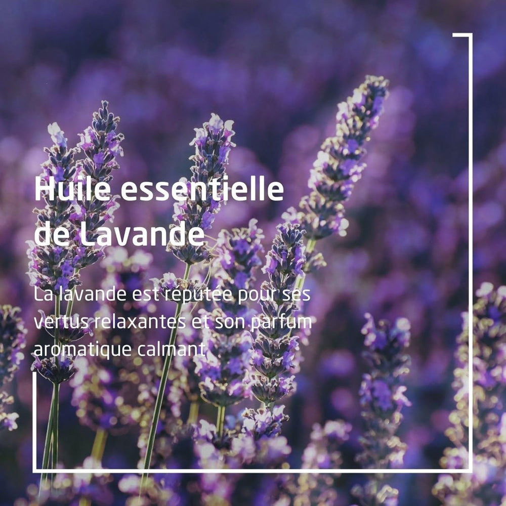Weleda Relaxing Lavender Body Oil ingredients highlight almond and sesame oils nourishing the skin.