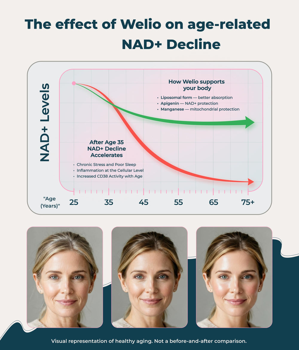 Welio Liposomal NAD+ label close-up showing clean, vegetarian-friendly claims
