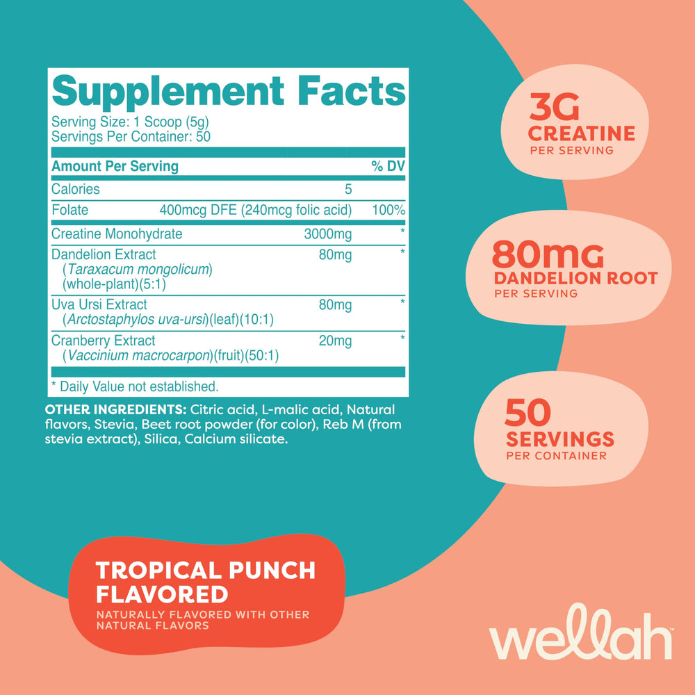 Wellah Creatine Tropical Punch tub front showing ingredients and NSF GMP badge