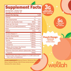Wellah Peach Mango scoop dispensing image highlighting convenient single-serving portions for quick mixes.