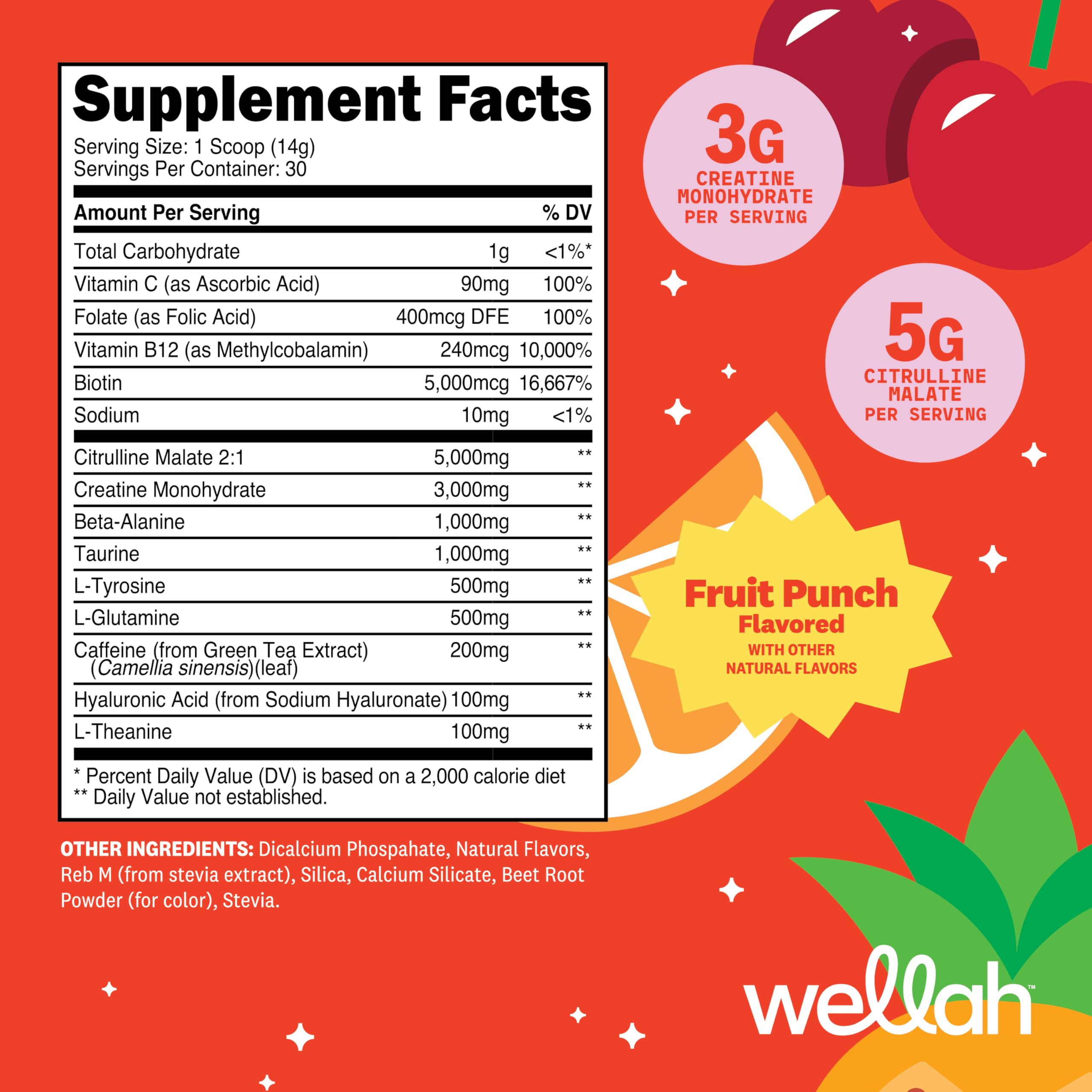 Wellah Pre-Workout Fruit Punch powder scoop for consistent dosing during training.