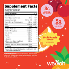 Wellah Pre-Workout Fruit Punch powder scoop for consistent dosing during training.