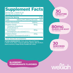 Wellah Pump-It-Up 30-stick packs ready for travel and gym sessions