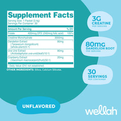 Wellah Pump-It-Up Creatine stick pack unflavored in a gym bag ready to mix