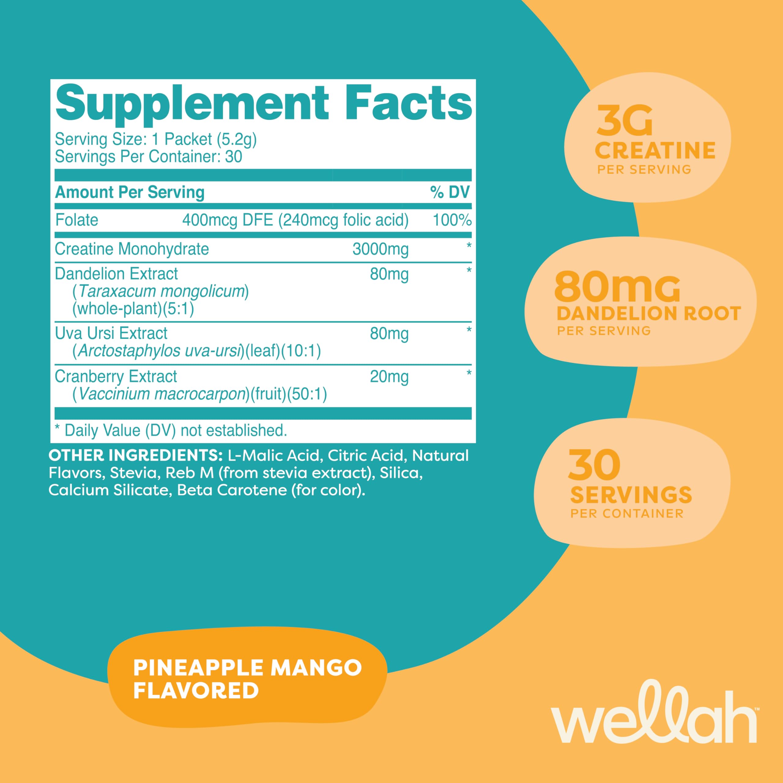 Wellah Pump-It-Up stick travel pack designed for gym bags and busy days.