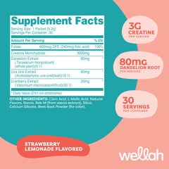 Wellah Pump-It-Up Creatine Strawberry Lemonade packets ideal for gym bags