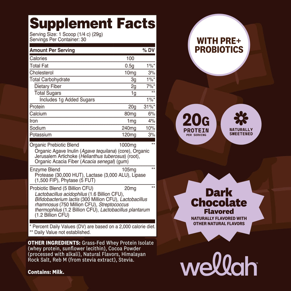 Wellah dark chocolate whey shake chilled after training for flavor and protein