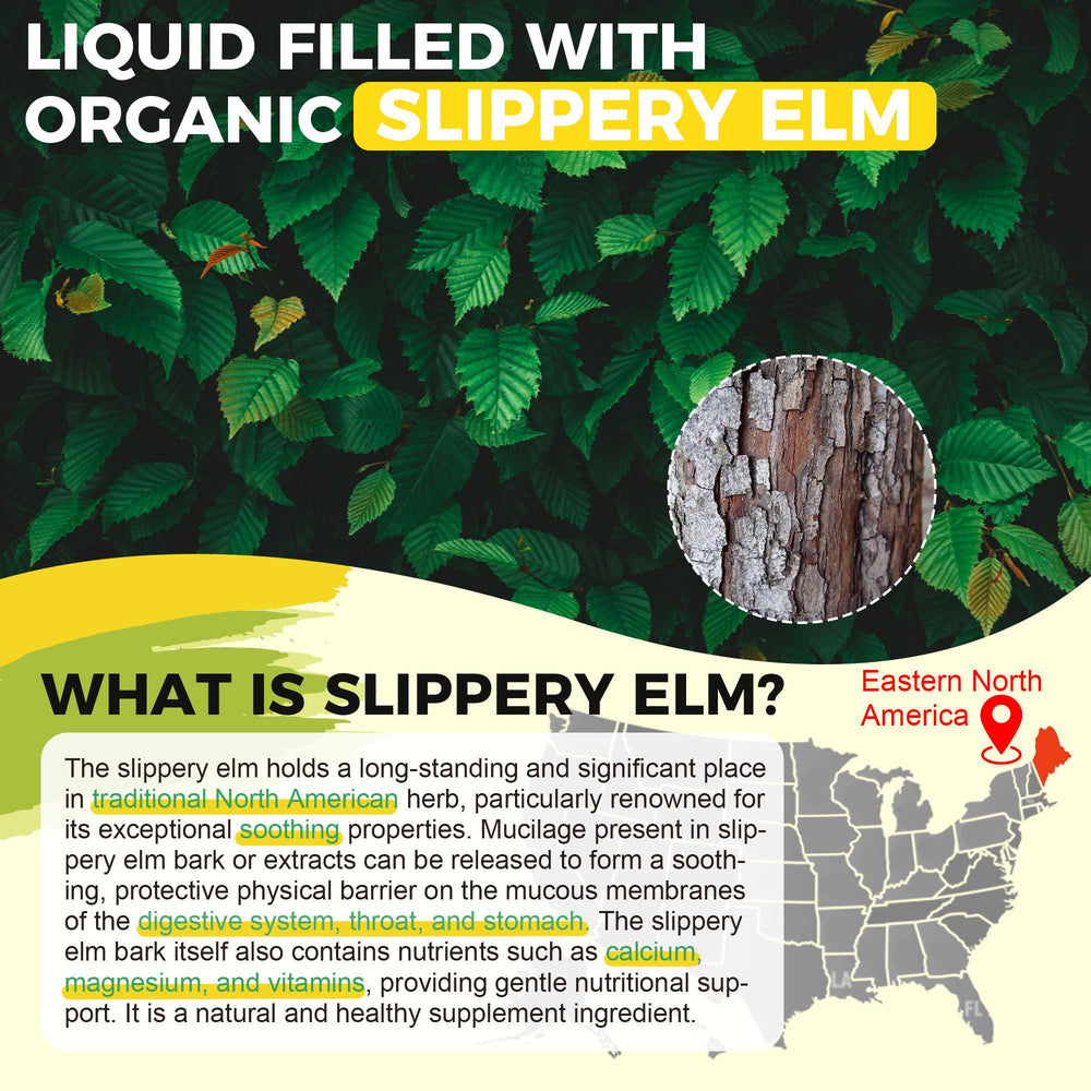 Well&Whole dgl licorice extract drops jar communicates digestive support.