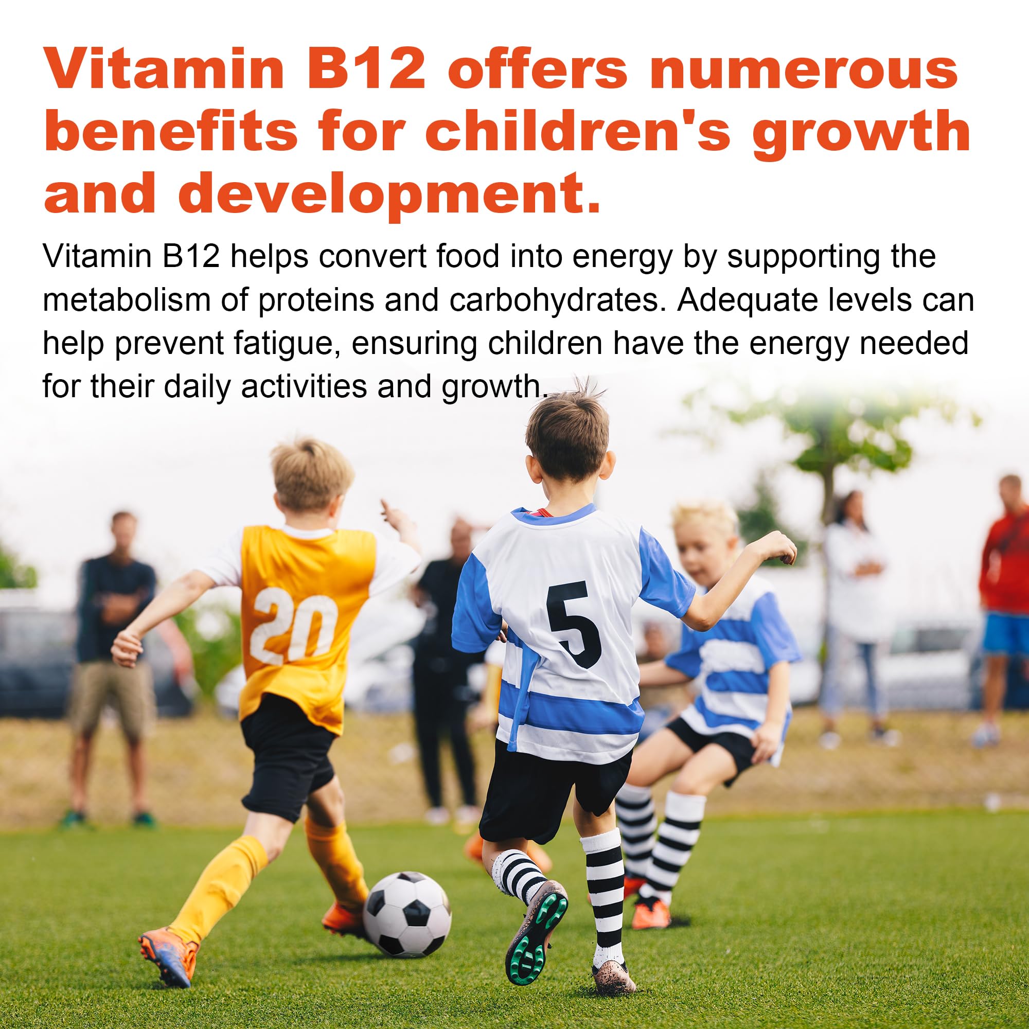 Well&Whole L-Lysine Gummies bottle-closeup highlights high quality and GMP standards.