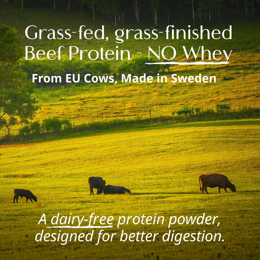 Wellena Her Protein packaging from Sweden highlighting clean production.
