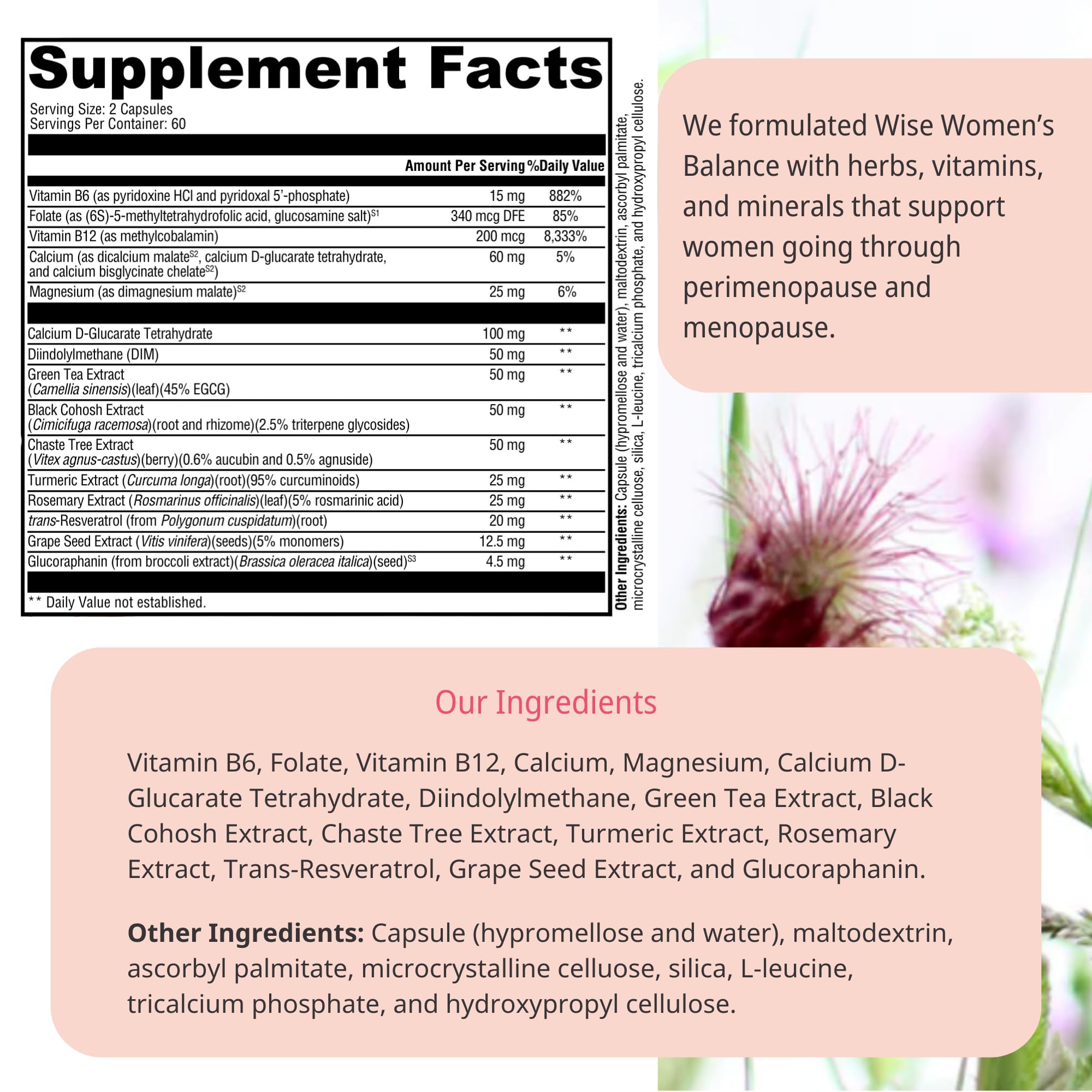 Wellena Wise Women’s Balance capsules closeup, vegetarian formula.