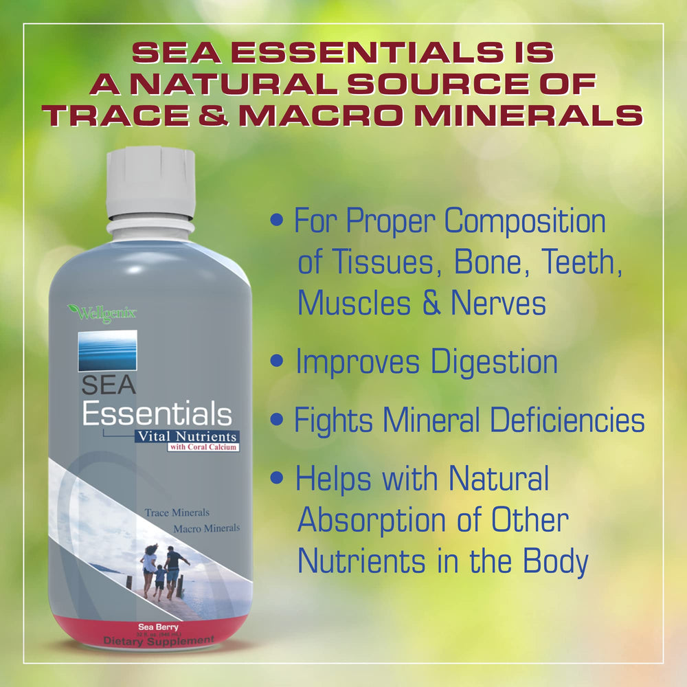 Wellgenix Sea Essentials sea vegetation illustration highlighting mineral sources.